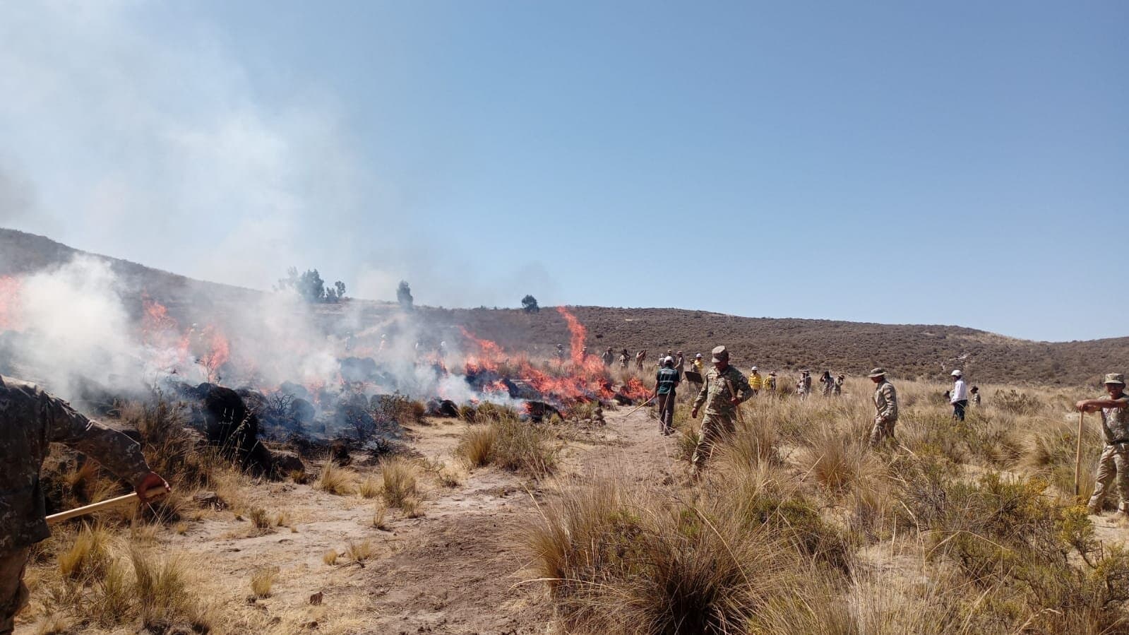 Alistan bono para agricultores afectados por los incendios