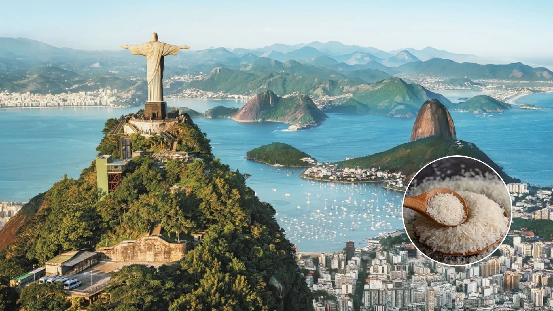 Brasil lidera como el mayor consumidor de arroz en el mundo