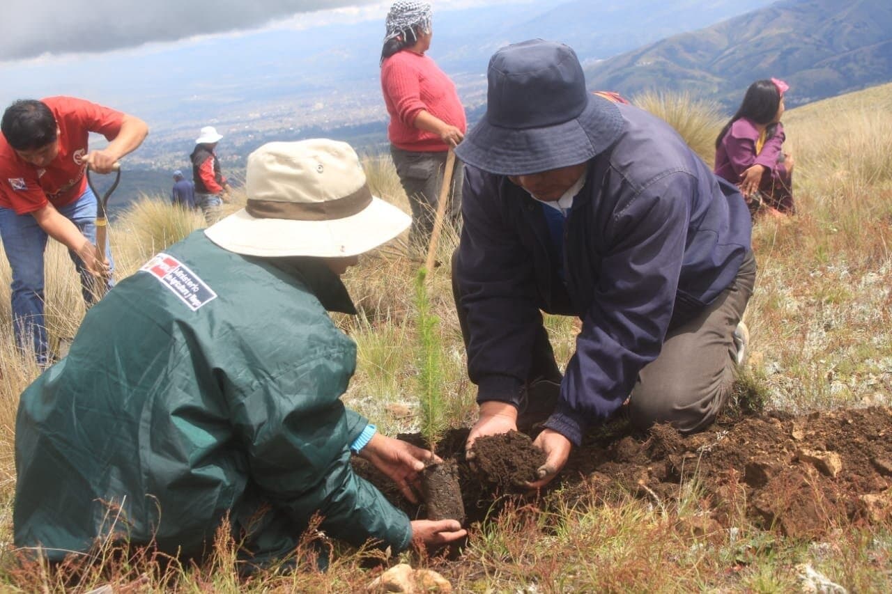 Entregarán bono a afectados por incendios desde este mes