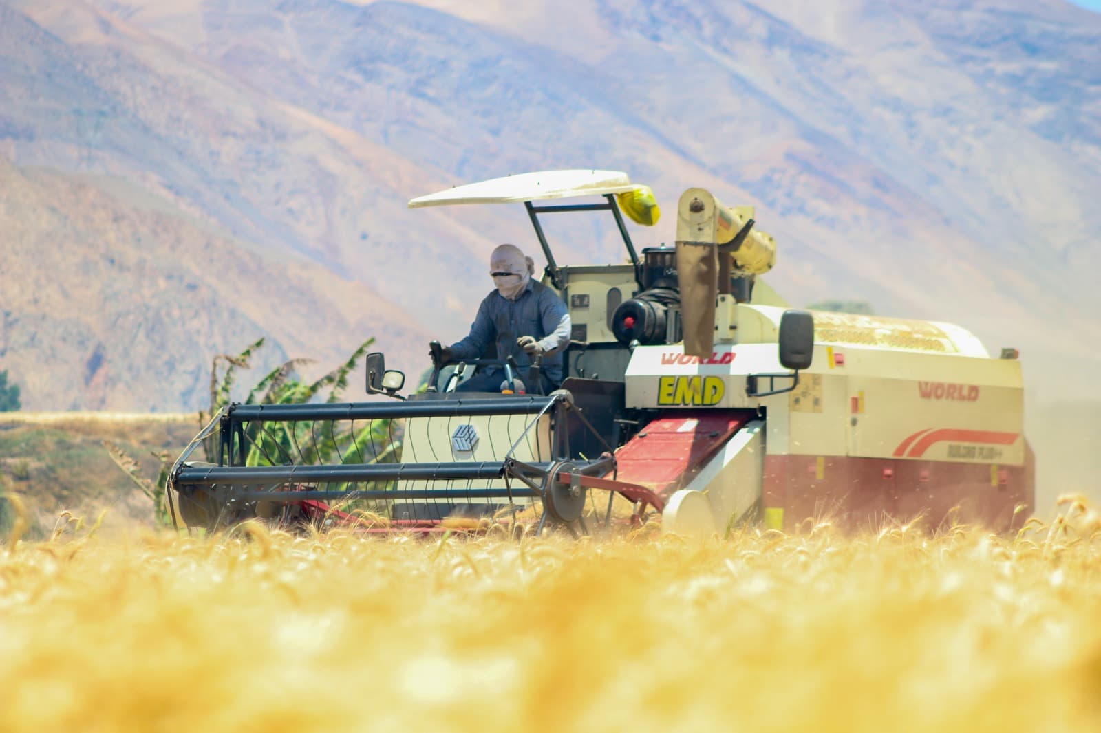 Programa agrícola atendió a 250 agricultores del valle de Tambo