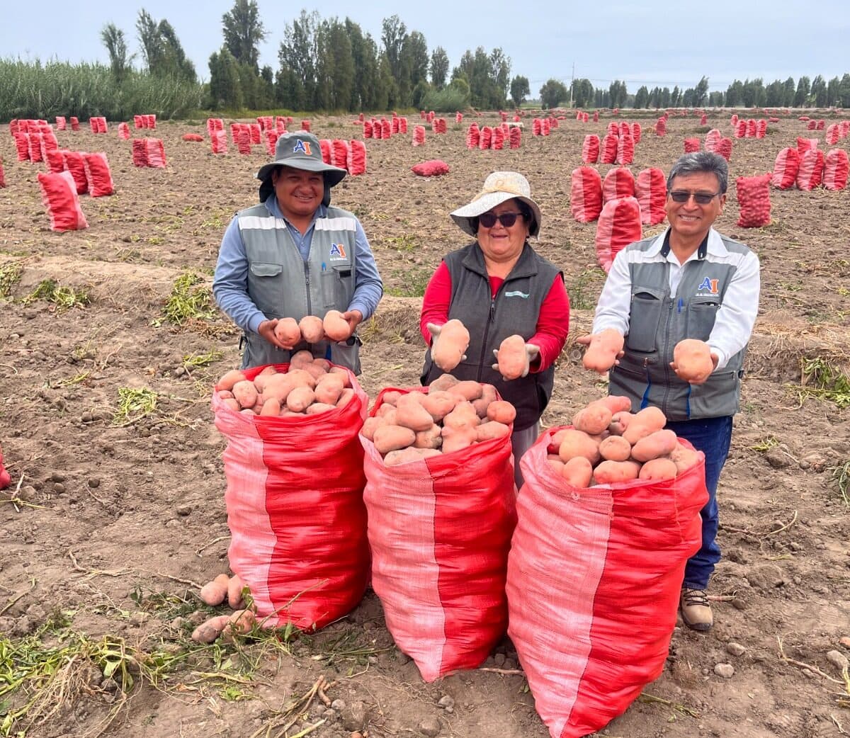 Tecnificando el Agro impulsa la producción en el valle de Tambo