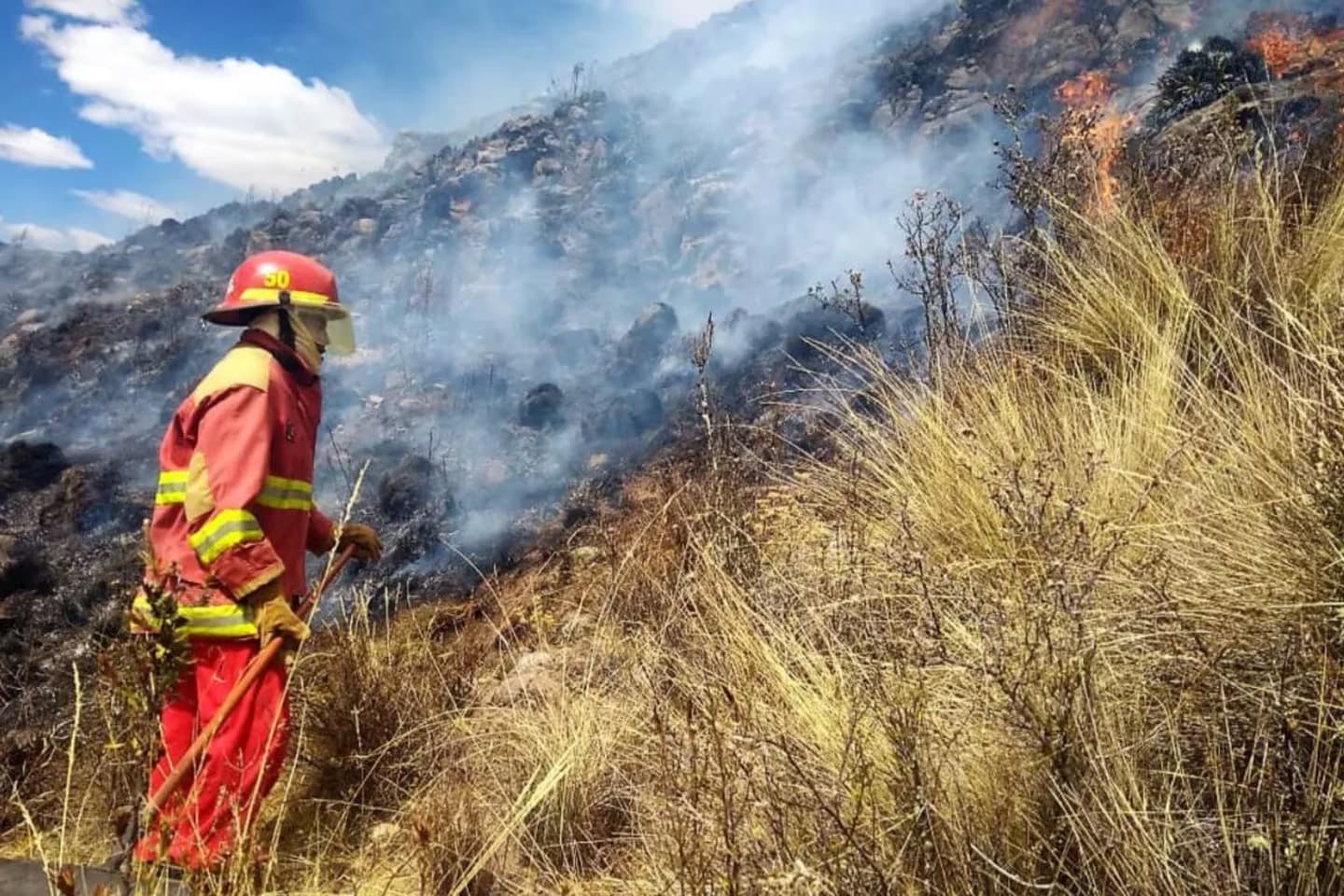 Citan a ministros de Defensa, Agricultura y Ambiente por incendios