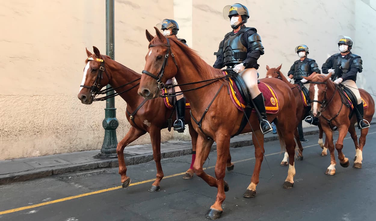 Piden prohibir uso de caballos de la PNP en eventos