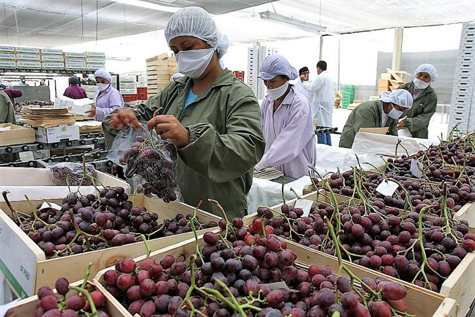 Gremios empresariales piden asegurar estabilidad y salud
