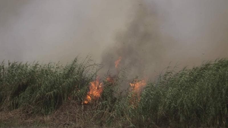 Incendio forestal destruyó 20 viviendas en Puno