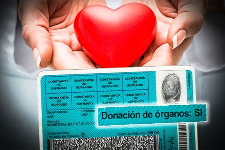 Todos los peruanos serán donantes de órganos por ley