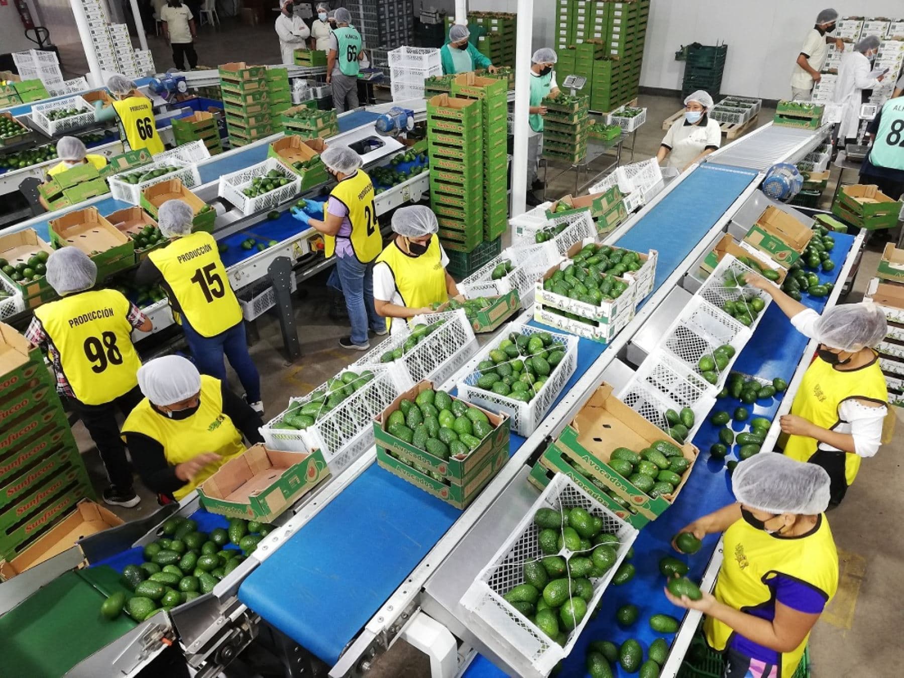 Aumentan las agroexportaciones no tradicionales en 10 meses