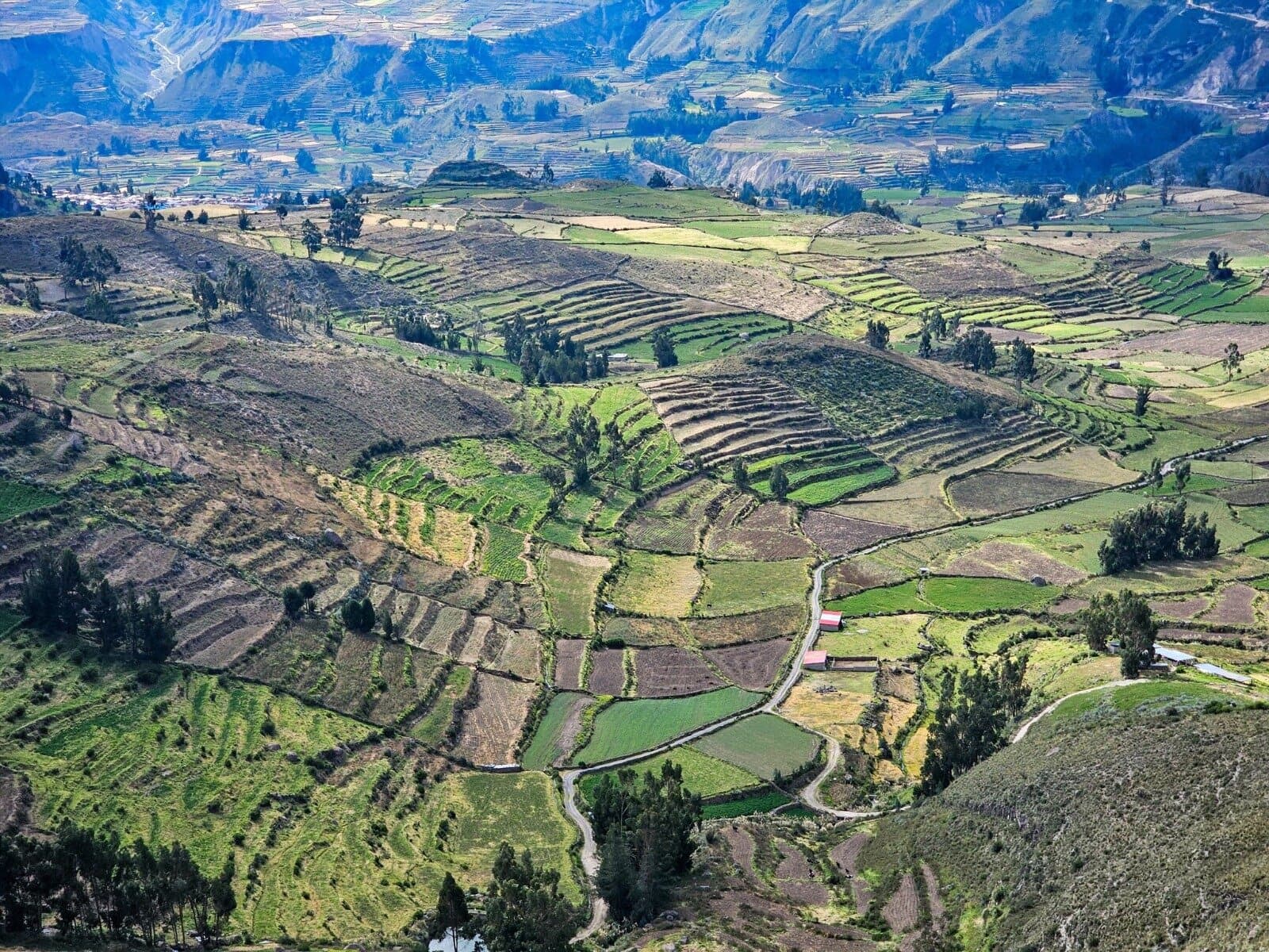 Juntas de usuarios de Arequipa apoyan transferencia de Majes