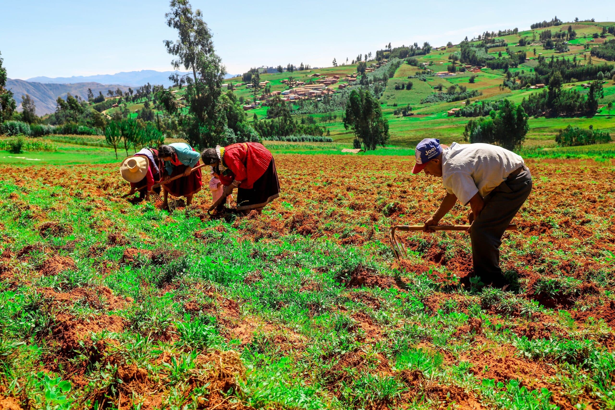 Destinan US$14 millones para ganadería regenerativa en el país