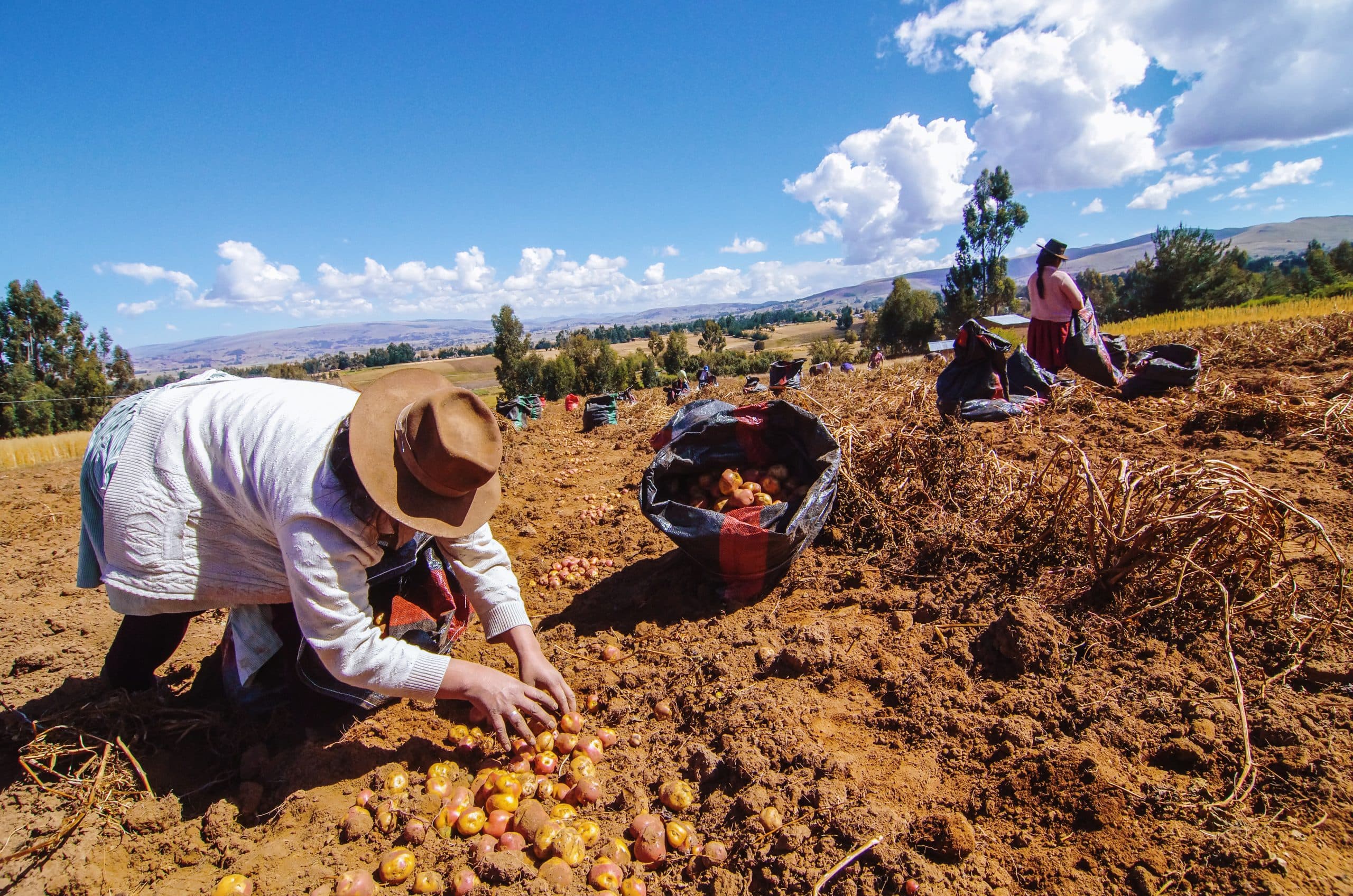 Instituciones y empresas verán soluciones ante posible sequía