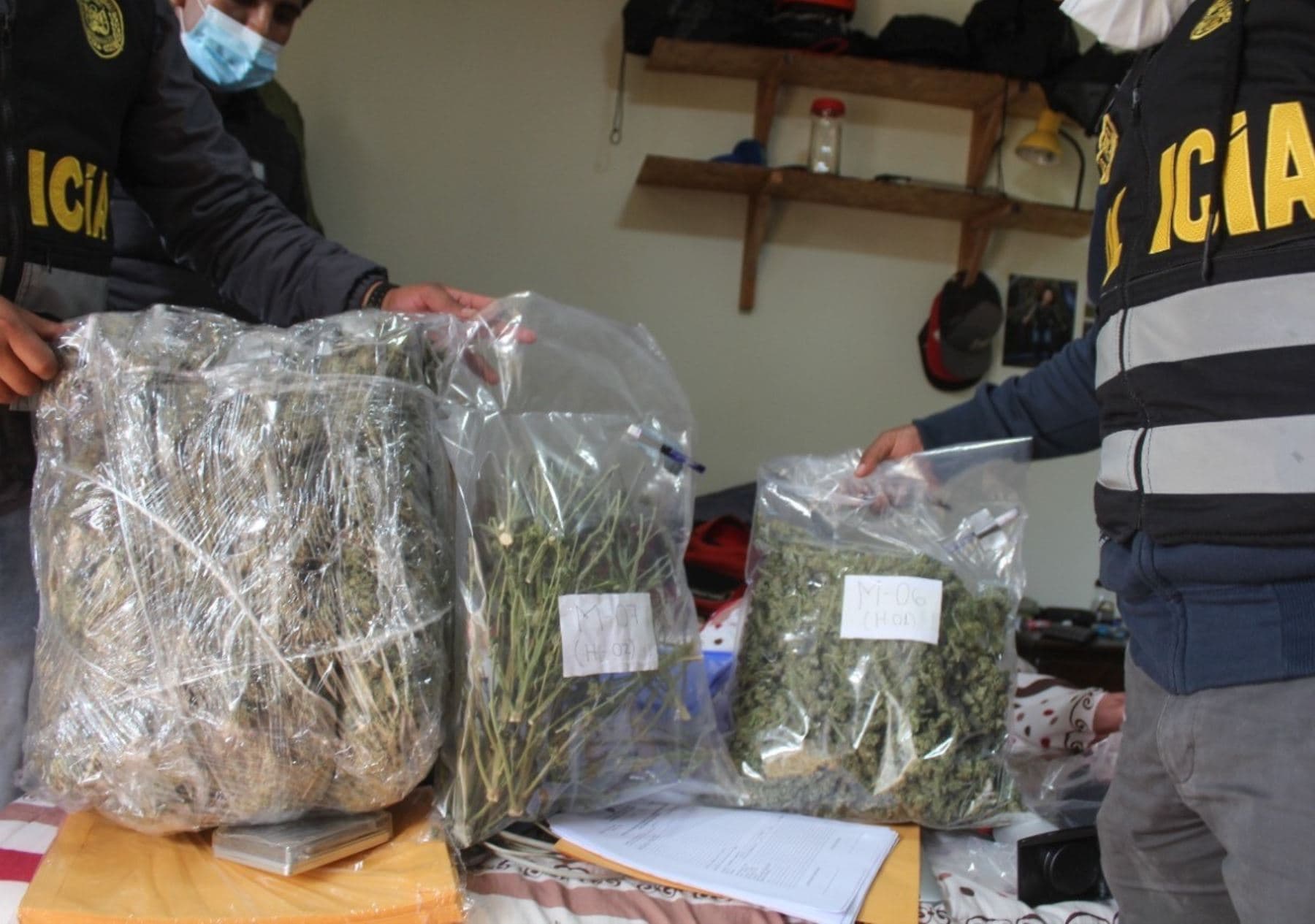 Cusco: Encuentran laboratorio de marihuana en el Valle Sagrado de los Incas