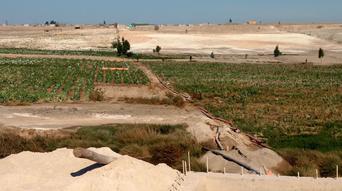 Población de Majes en riesgo por comercialización de agua residual