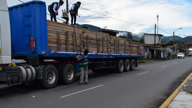 Decomisan casi 5 mil pies tablares de madera indocumentada