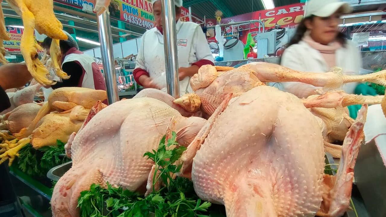 Precio del pavo alcanza los 17 soles el kilo en el Avelino