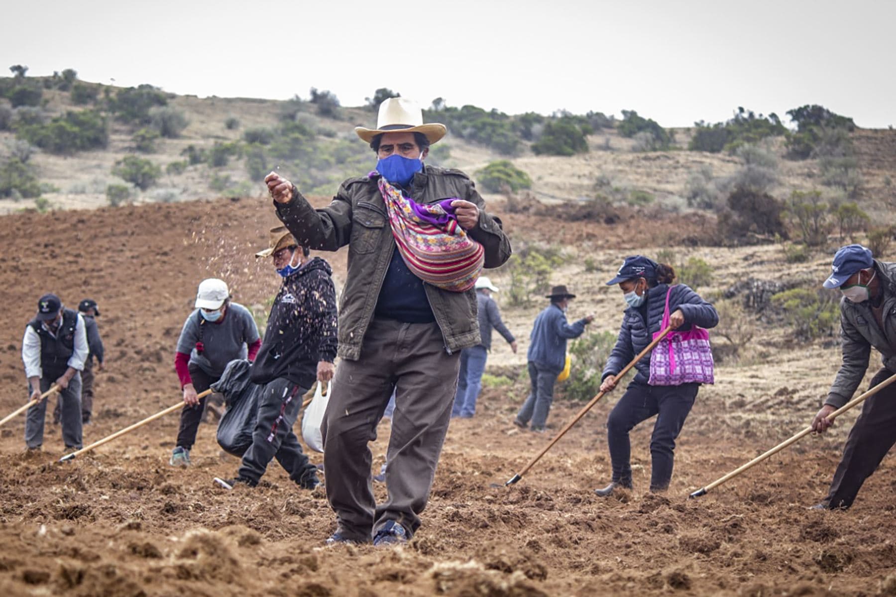 Gobernantes, dar una mirada prioritaria al agro nacional