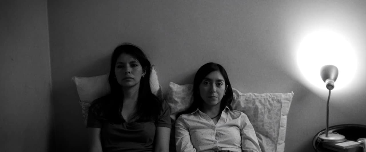 Cine trujillano en Arequipa: “Entre estos árboles que he inventado”