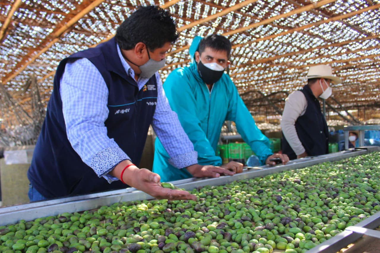 Turismo: Impulsan circuitos entre Arequipa, Moquegua y Tacna