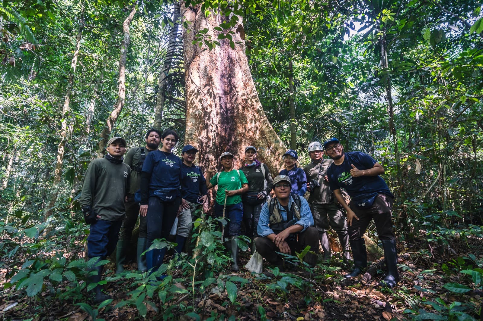 Caja Arequipa protege junto a Arbio Perú bosque amazónico en Madre de Dios
