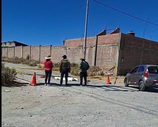 Adulta mayor muere tras ataque de dos perros en Sabandía
