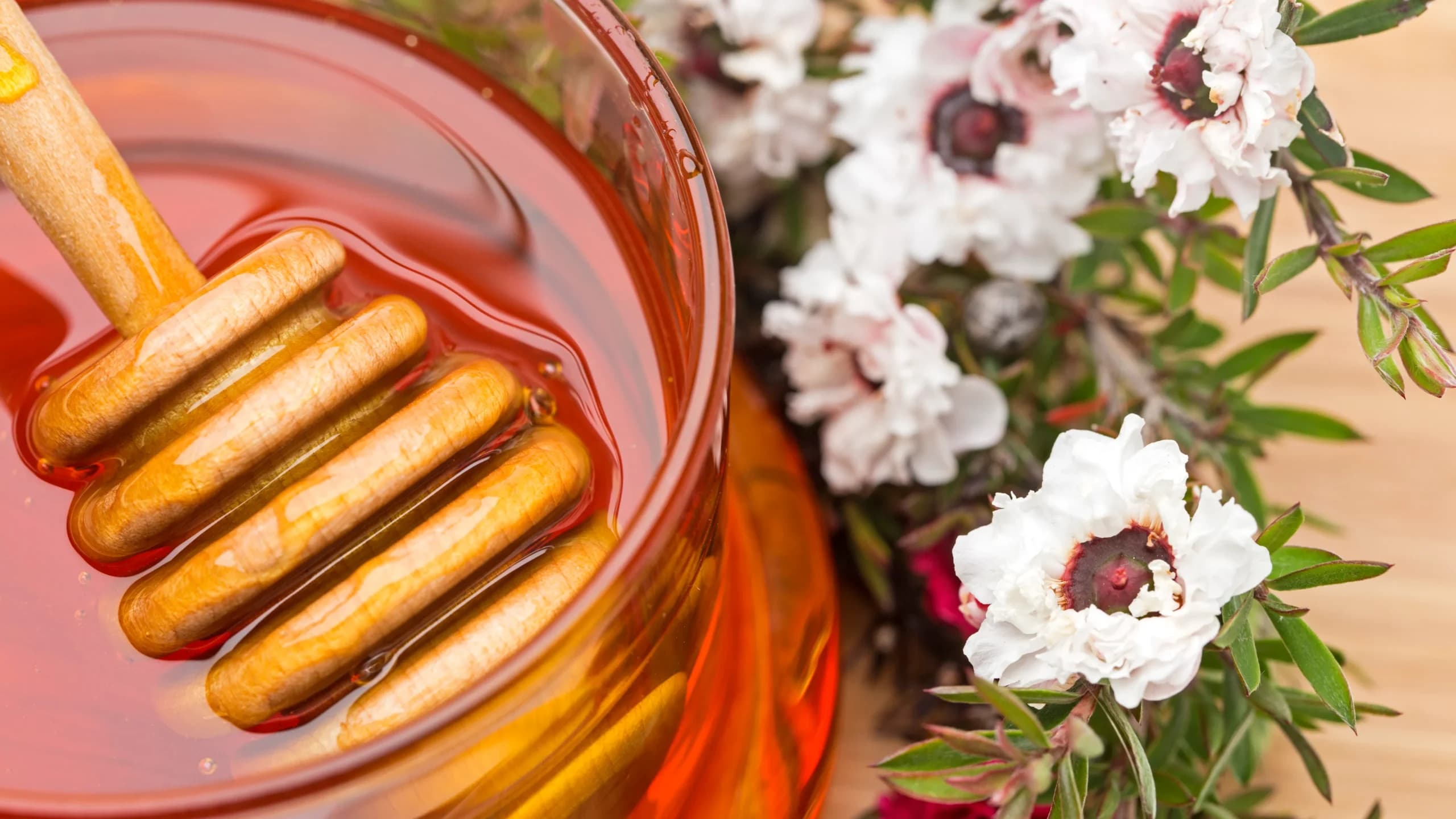 Miel de manuka podría ayudar a combatir el cáncer de mama