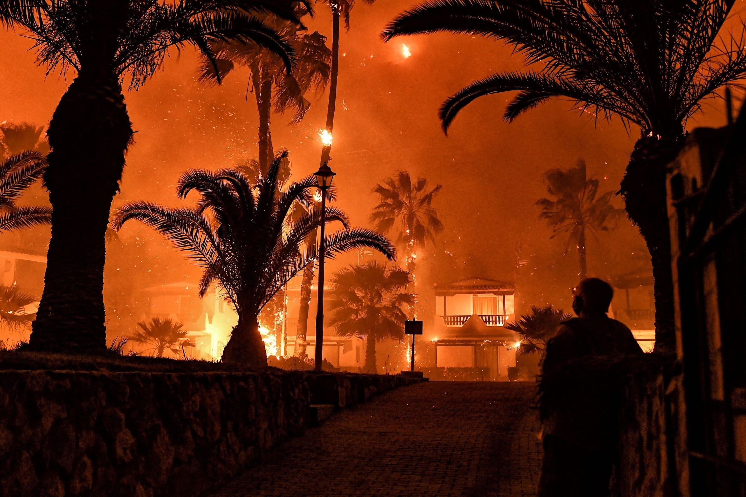 Grecia: bomberos luchan contra un incendio forestal por tercer día