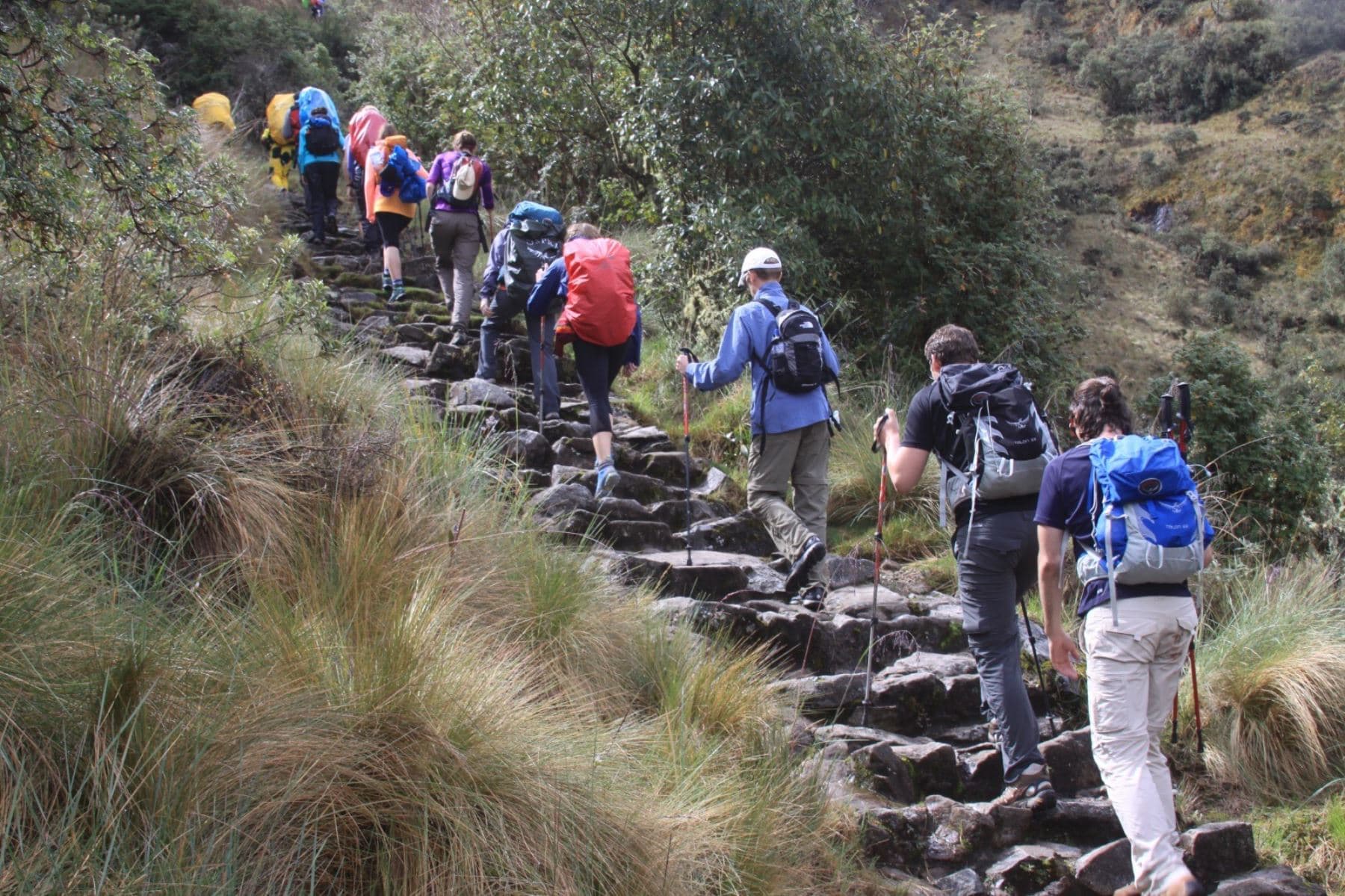 Reaperturan Red de Caminos Inca, pero con restricciones