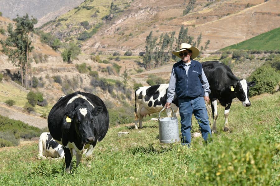Ganaderos del Perú piden condiciones de trabajo más justas
