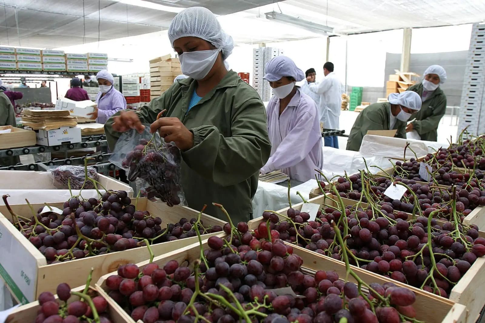 Agroexportaciones superaron los $14,500 millones en 2025
