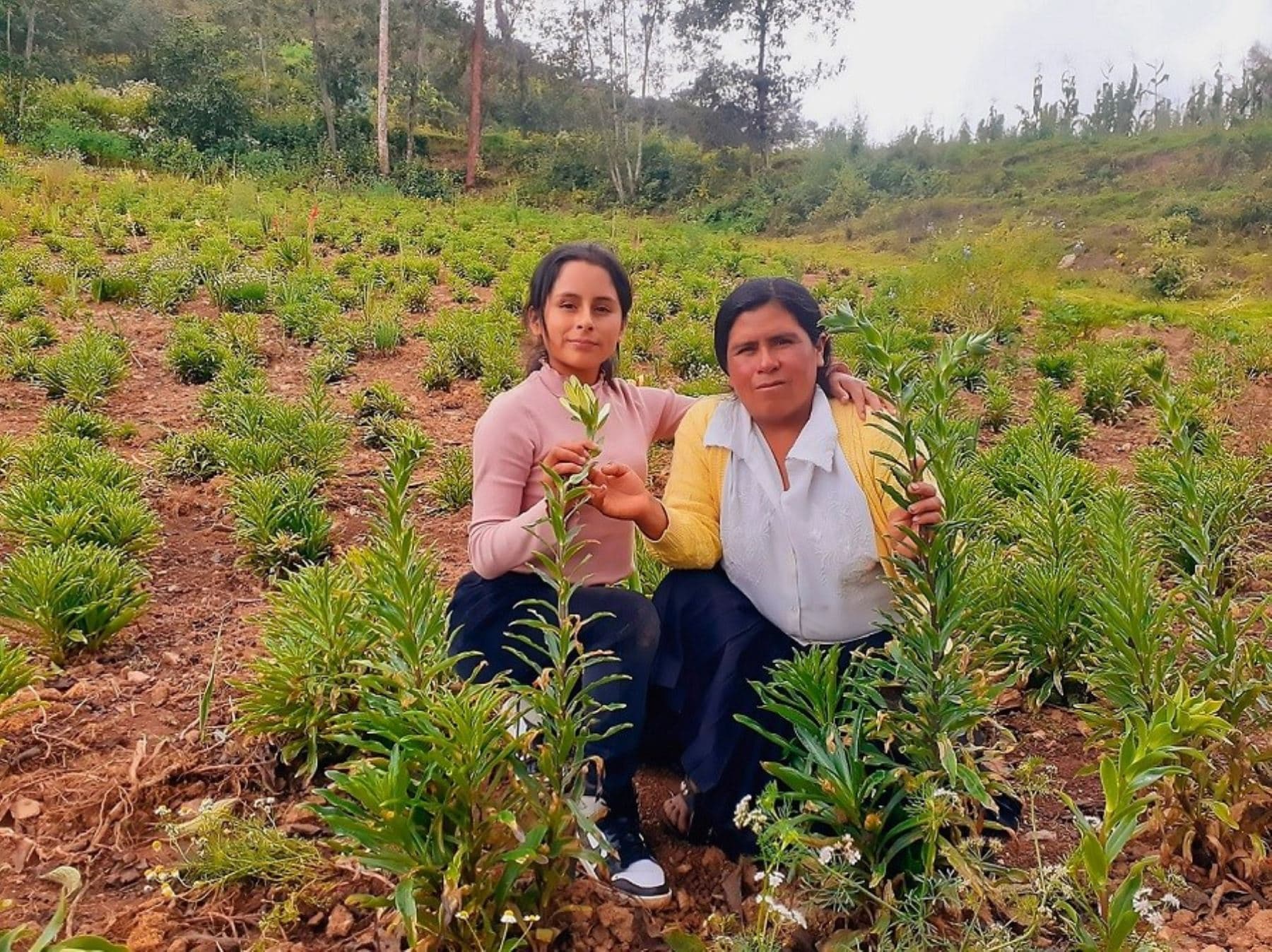 Joven estudia IA para cumplir una promesa a su mamá