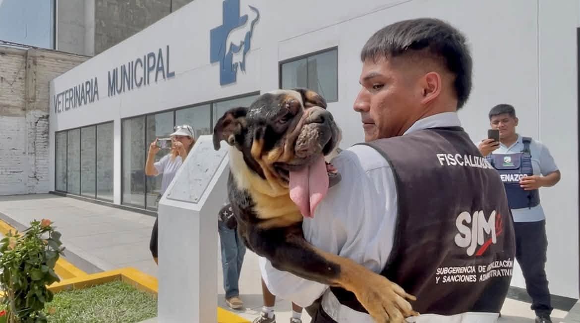 Rescatan a 47 perros de presunto criadero clandestino en Lima
