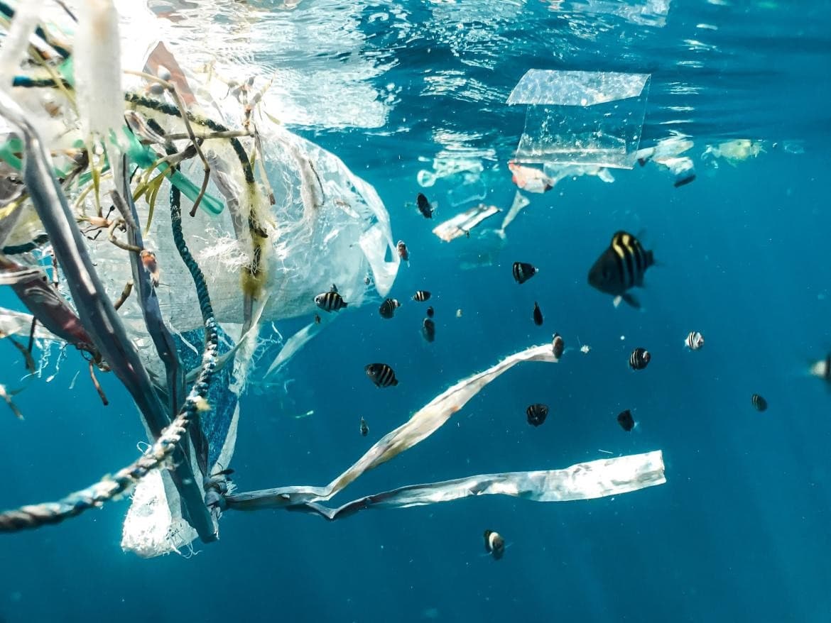 Unesco alerta del deterioro acelerado de océanos por el cambio climático