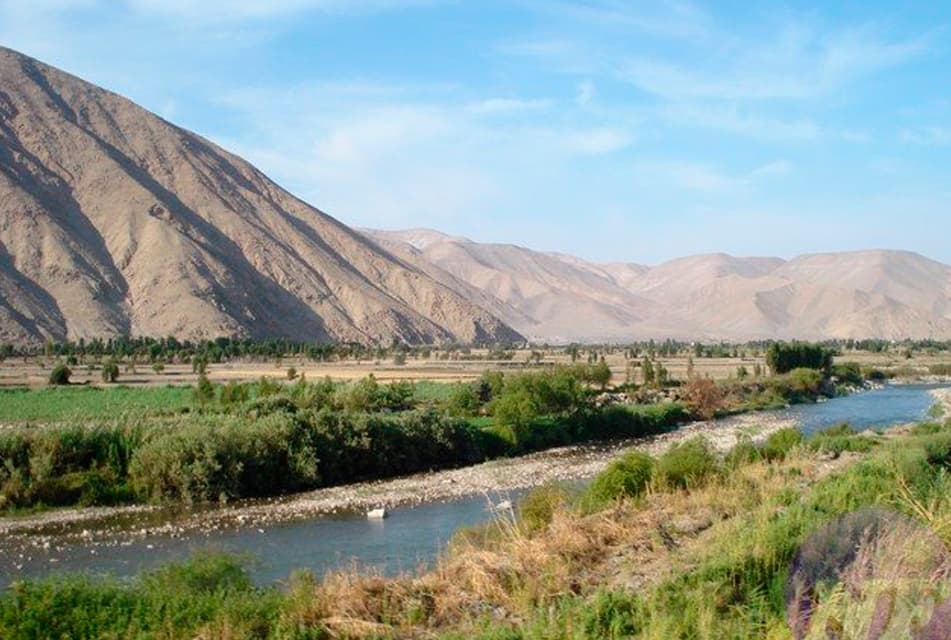 Agua del Valle de Tambo contaminada por arsénico